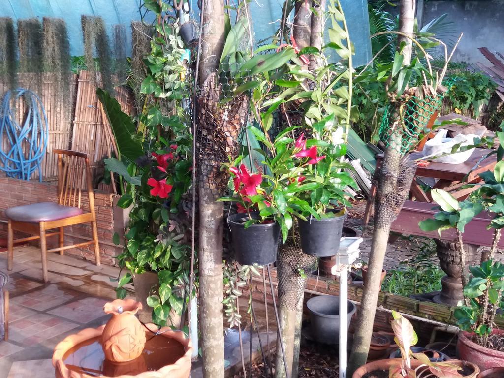 Hollanda Montri Guesthouse Chiang Mai Eksteriør billede